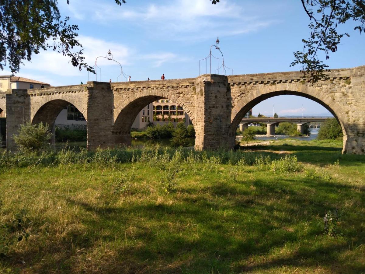 Carcassonne T3 Residentiel Rez De Jardin Piscine, Wifi, Tennis, Fitness Lejlighed Eksteriør billede